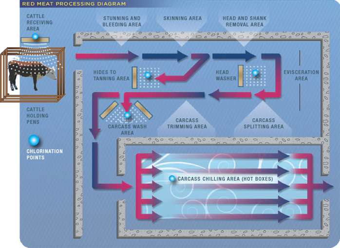 Example Installation